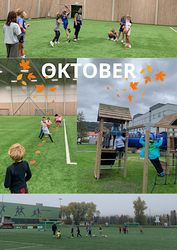 Nyhetsbrev IFO oktober